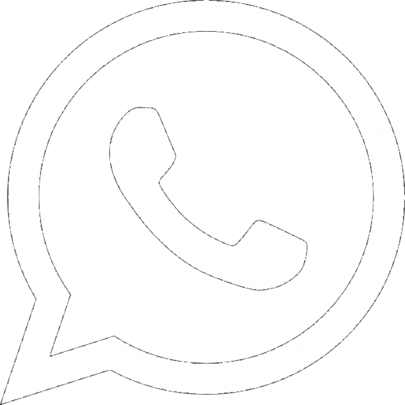 icone whatsapp